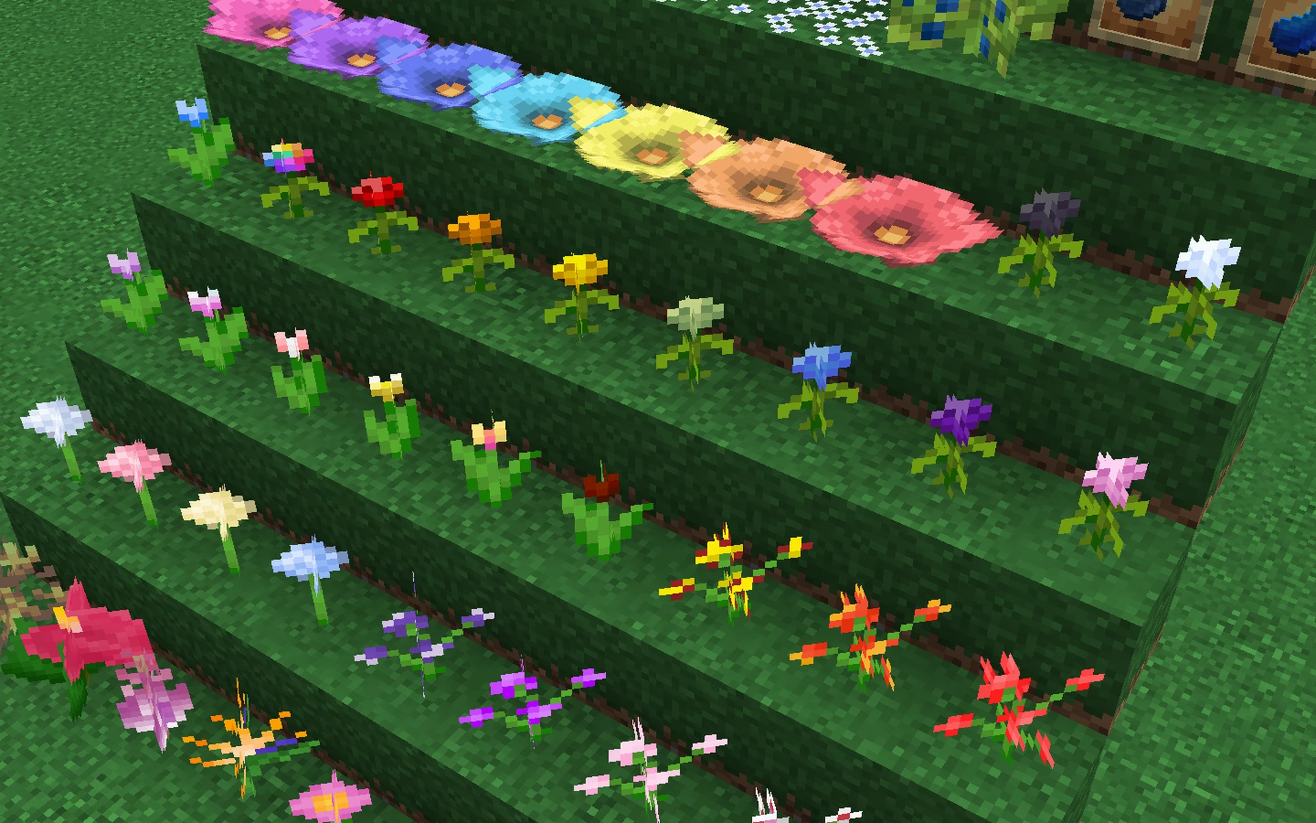flowers 3